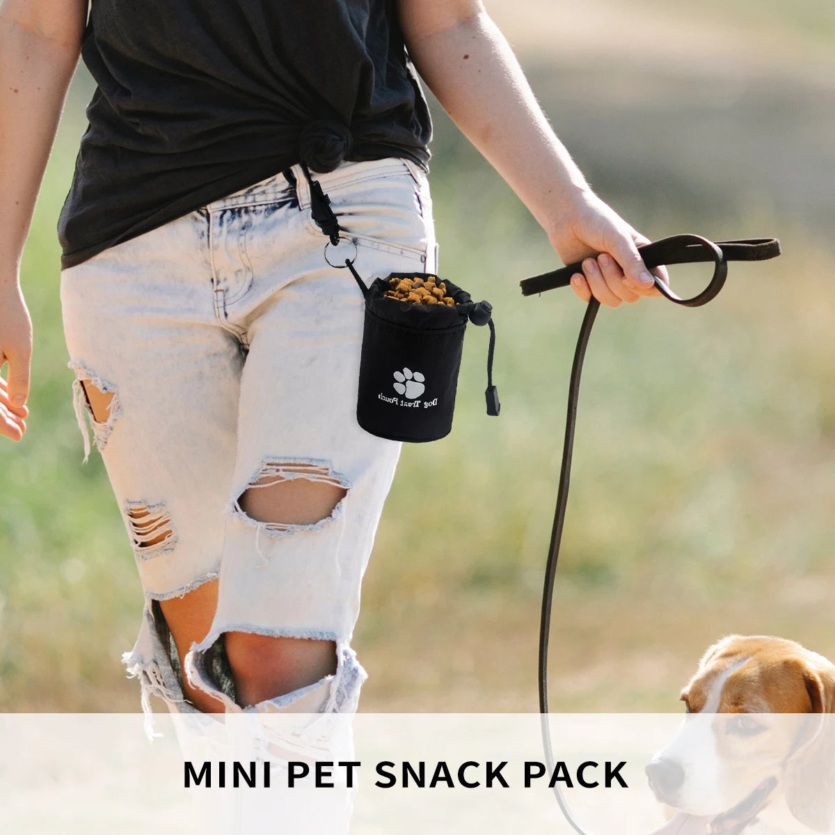 Fashionable Dog Treat Pouch Waterproof Oxford & Nylon Custom Weight Outdoor Training Bag with Sustainable & Stocked Features